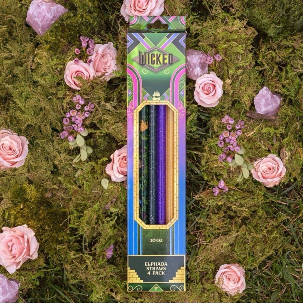 Wicked 30oz Stanley “Elphaba” Straws 4-Pack Target Exclusive Brand New In Box